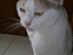 View full size picture