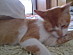 View full size picture