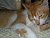 View full size picture