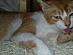 View full size picture