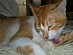 View full size picture