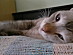 View full size picture