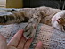 View full size picture