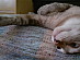 View full size picture