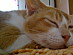 View full size picture