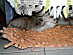 View full size picture