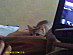 View full size picture