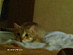View full size picture