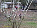 View full size picture