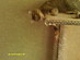 View full size picture