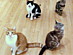 View full size picture