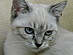 View full size picture