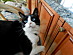 View full size picture