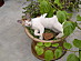 View full size picture