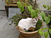 View full size picture