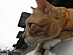 View full size picture