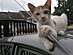 View full size picture