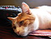View full size picture