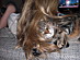 View full size picture