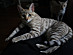 View full size picture