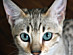 View full size picture
