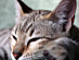 View full size picture