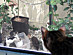 View full size picture