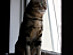 View full size picture