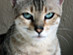 View full size picture