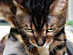 View full size picture