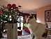 View full size picture