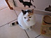 View full size picture