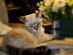 View full size picture