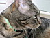View full size picture