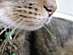 View full size picture