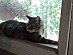 View full size picture