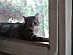 View full size picture