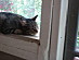 View full size picture