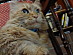 View full size picture