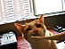 View full size picture
