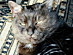 View full size picture