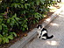 View full size picture
