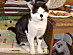 View full size picture