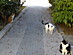 View full size picture