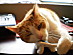 View full size picture