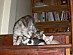 View full size picture