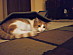 View full size picture