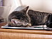 View full size picture