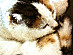 View full size picture