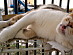 View full size picture